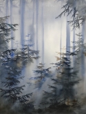 Blåbärsskog